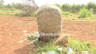 ಆನೇಕಲ್​ನಲ್ಲಿ ರೈತನ ಗ್ರೀನ್ ಹೌಸ್ ಧ್ವಂಸಗೊಳಿಸಿದ ಕಿಡಿಗೇಡಿಗಳು