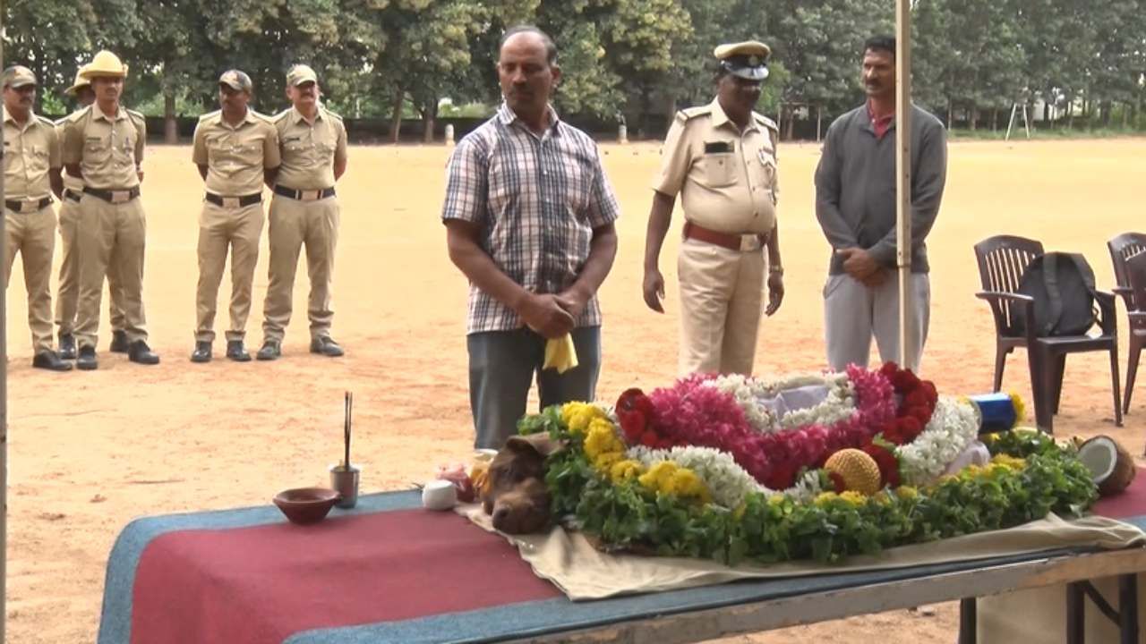 ಇದೇ ವರ್ಷ ಡಿಸೆಂಬರ್ 24ರಂದು ಹೊಳೆನರಸೀಪುರ ತಾಲ್ಲೂಕಿನ ಗಂಗೂರು ಗ್ರಾಮದ ಪಾರ್ವತಮ್ಮರನ್ನ ಅವರ ಮನೆಗೆ ಬಂದಿದ್ದ ವ್ಯಕ್ತಿಯೊಬ್ಬ ಮನೆಯಲ್ಲಿ ಟಿ ಕುಡಿದು ಮಹಿಳೆಯನ್ನ ಕೊಂದು ಎಸ್ಕೇಪ್ ಆಗಿದ್ದ. ಸ್ಥಳಕ್ಕೆ ಭೇಟಿ ಕೊಟ್ಟಿದ್ದ ರಕ್ಷಾ ಕೇಸ್ ಪತ್ತೆಗೆ ಮಹತ್ತರ ಕೊಡುಗೆ ನೀಡಿದ್ದಳು. ಹೀಗೆ 47 ಕೇಸ್​ಗಳ ಪತ್ತೆಗೆ ಮಹತ್ತರವಾಗಿ ನೆರವಾಗಿದ್ದ ರಕ್ಷಾ ಕಳೆದ ಕೆಲ ತಿಂಗಳಿಂದ ಅನಾರೋಗ್ಯಕ್ಕೆ ತುತ್ತಾಗಿದ್ದು, ನಿನ್ನೆ ರಾತ್ರಿ ಮೃತಪಟ್ಟಿದ್ದಾಳೆ. 
