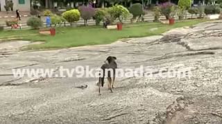 Video: ಕುರ್ಚಿ ಮೇಲೆ ಕುಳಿತು ನಿದ್ರೆಗೆ ಜಾರಿದ ವೈದ್ಯ, ರೋಗಿ ತೀವ್ರ ರಕ್ತಸ್ರಾವದಿಂದ ಸಾವು