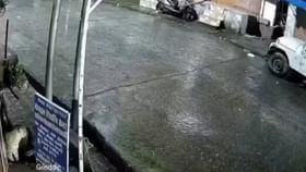ಬೆಕ್ಕು ಎಂದುಕೊಂಡು ಚಿರತೆ ಮೇಲೆ ನಾಯಿಗಳ ದಾಳಿ!
