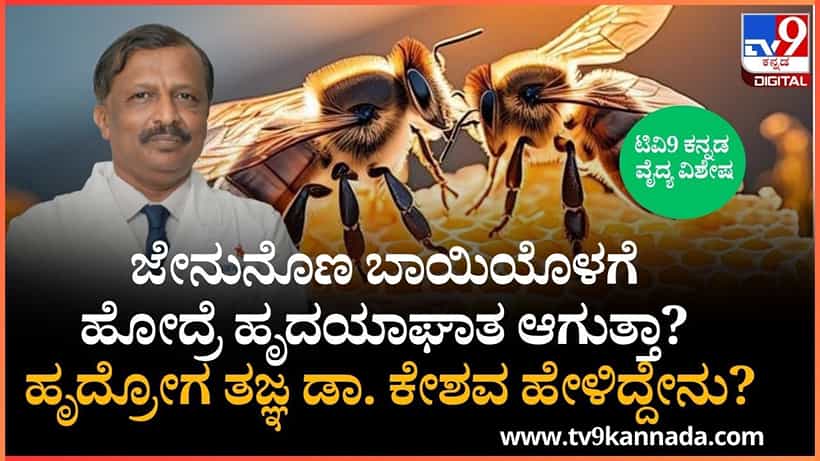 ಜೇನುನೊಣ ಬಾಯಿಯೊಳಗೆ ಹೋದ್ರೆ ಹೃದಯಾಘಾತ ಆಗುತ್ತಾ? ಹೃದ್ರೋಗ ತಜ್ಞ ಡಾ. ಕೇಶವ ಹೇಳಿದ್ದೇನು?