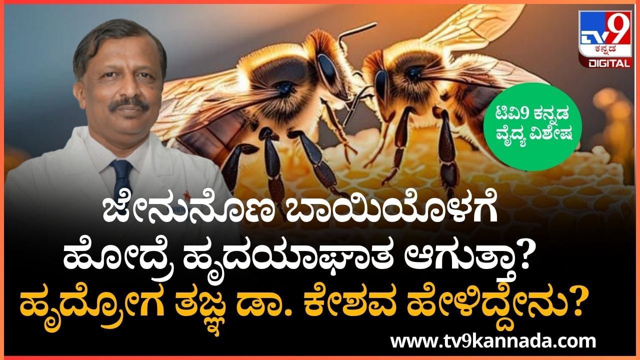 ಜೇನುನೊಣ ಬಾಯಿಯೊಳಗೆ ಹೋದ್ರೆ ಹೃದಯಾಘಾತ ಆಗುತ್ತಾ? ಹೃದ್ರೋಗ ತಜ್ಞ ಡಾ. ಕೇಶವ ಹೇಳಿದ್ದೇನು? ಜೇನುನೊಣ ಬಾಯಿಯೊಳಗೆ ಹೋದ್ರೆ ಹೃದಯಾಘಾತ ಆಗುತ್ತಾ? ಹೃದ್ರೋಗ ತಜ್ಞ ಡಾ. ಕೇಶವ ಹೇಳಿದ್ದೇನು?