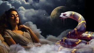 Shravana 2025: ಶ್ರಾವಣ ಮಾಸದಲ್ಲಿ ಶಿವಲಿಂಗಕ್ಕೆ ಬೆಳ್ಳಿ ನಾಗ ಅರ್ಪಿಸುವುದರಿಂದಾಗುವ ಪ್ರಯೋಜನಗಳಿವು