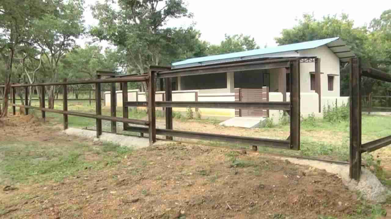 ಚಾಮರಾಜನಗರ: ಸಿದ್ಧವಾಗಿ ವರ್ಷ ಕಳೆದ್ರು ವೀಕ್ಷಣೆಗೆ ಲಭ್ಯವಾಗದ ಆನೆ ಕ್ಯಾಂಪ್, ಪ್ರವಾಸಿಗರು ಅಸಮಾಧಾನ