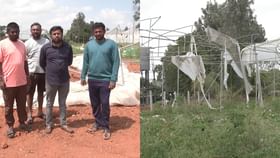 ಆನೇಕಲ್​ನಲ್ಲಿ ರೈತನ ಗ್ರೀನ್ ಹೌಸ್ ಧ್ವಂಸಗೊಳಿಸಿದ ಕಿಡಿಗೇಡಿಗಳು