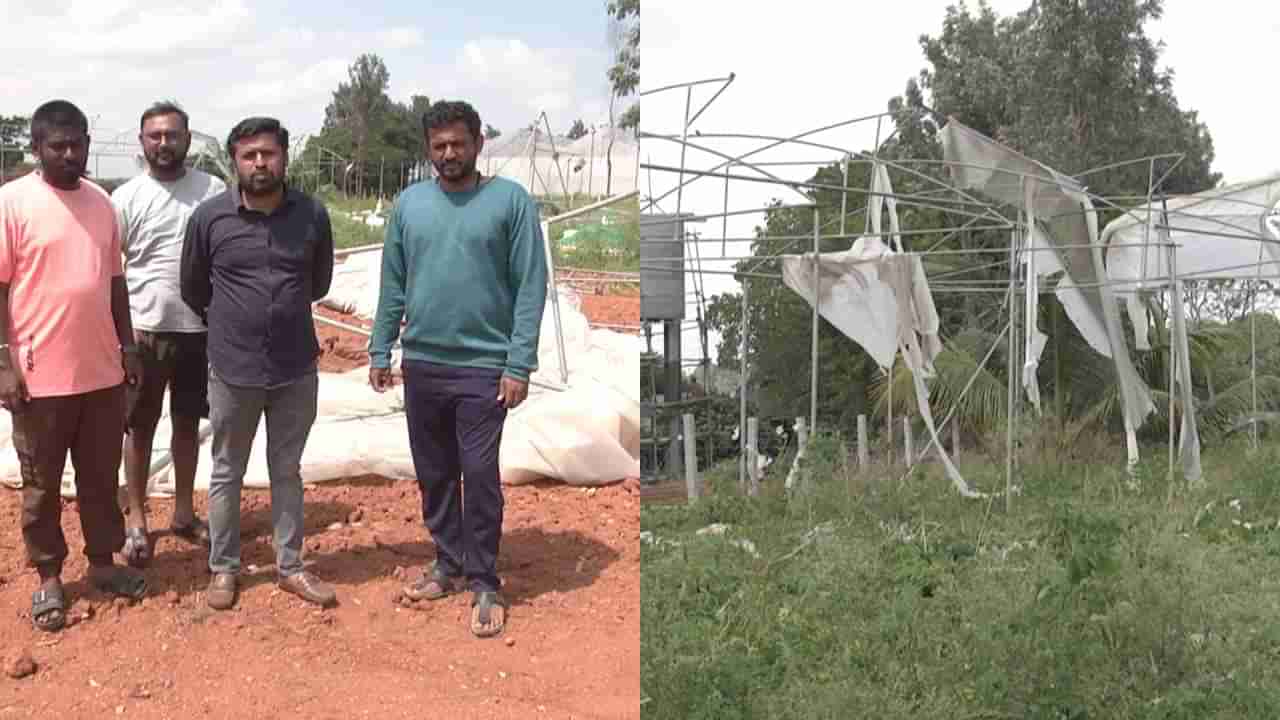 ಆನೇಕಲ್ನಲ್ಲಿ ರೈತನ ಗ್ರೀನ್ ಹೌಸ್ ಧ್ವಂಸಗೊಳಿಸಿದ ಕಿಡಿಗೇಡಿಗಳು