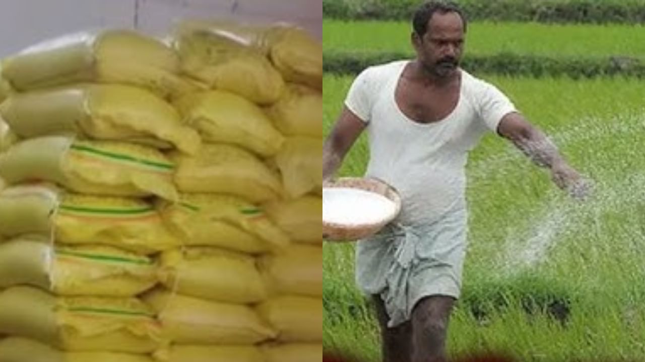 ಎಲ್ಲ ಕಡೆ ಗೊಬ್ಬರ ಕೊರತೆ: ಕಲಬುರಗಿಯಲ್ಲಿ ಸಾಕಷ್ಟಿದ್ದರೂ ಸಮಸ್ಯೆ! ಯಾಕೆ? ಇಲ್ಲಿದೆ ಕಾರಣ