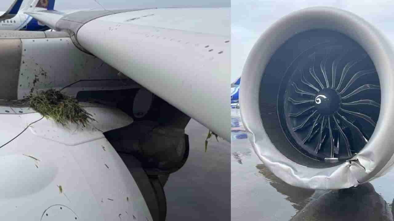 ಮುಂಬೈ ಏರ್ಪೋರ್ಟ್ನಲ್ಲಿ ಇಳಿಯುವಾಗ ರನ್ವೇನಲ್ಲಿ ಸ್ಕಿಡ್ ಆದ ಏರ್ ಇಂಡಿಯಾ ವಿಮಾನ