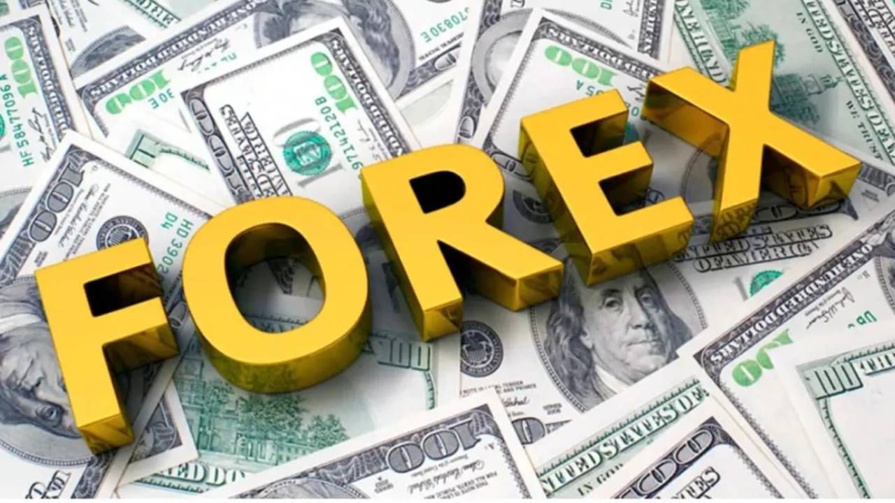 Forex Reserves: ಎರಡನೇ ಬಾರಿ 700 ಬಿಲಿಯನ್ ಡಾಲರ್ ಗಡಿ ದಾಟಿದ ಭಾರತದ ವಿದೇಶೀ ವಿನಿಮಯ ಮೀಸಲು ನಿಧಿ