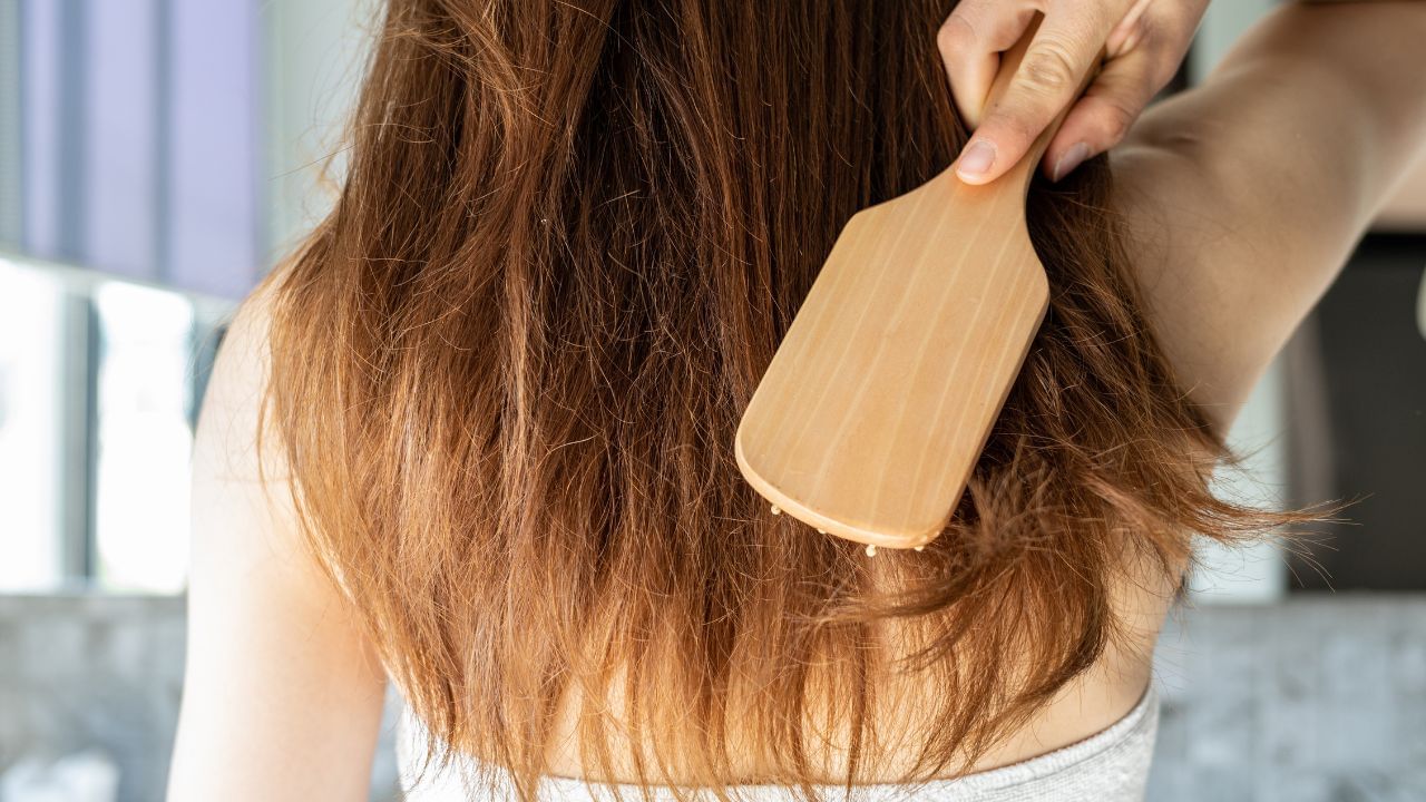 ಪ್ರತಿದಿನ ಈ ಒಂದು ಬೀಜವನ್ನು ತಿಂದ್ರೆ ಸಾಕು ಕೂದಲು ಉದುರುವುದು ನಿಲ್ಲುತ್ತೆ ನೋಡಿ! ಪ್ರತಿದಿನ ಈ ಒಂದು ಬೀಜವನ್ನು ತಿಂದ್ರೆ ಸಾಕು ಕೂದಲು ಉದುರುವುದು ನಿಲ್ಲುತ್ತೆ ನೋಡಿ!