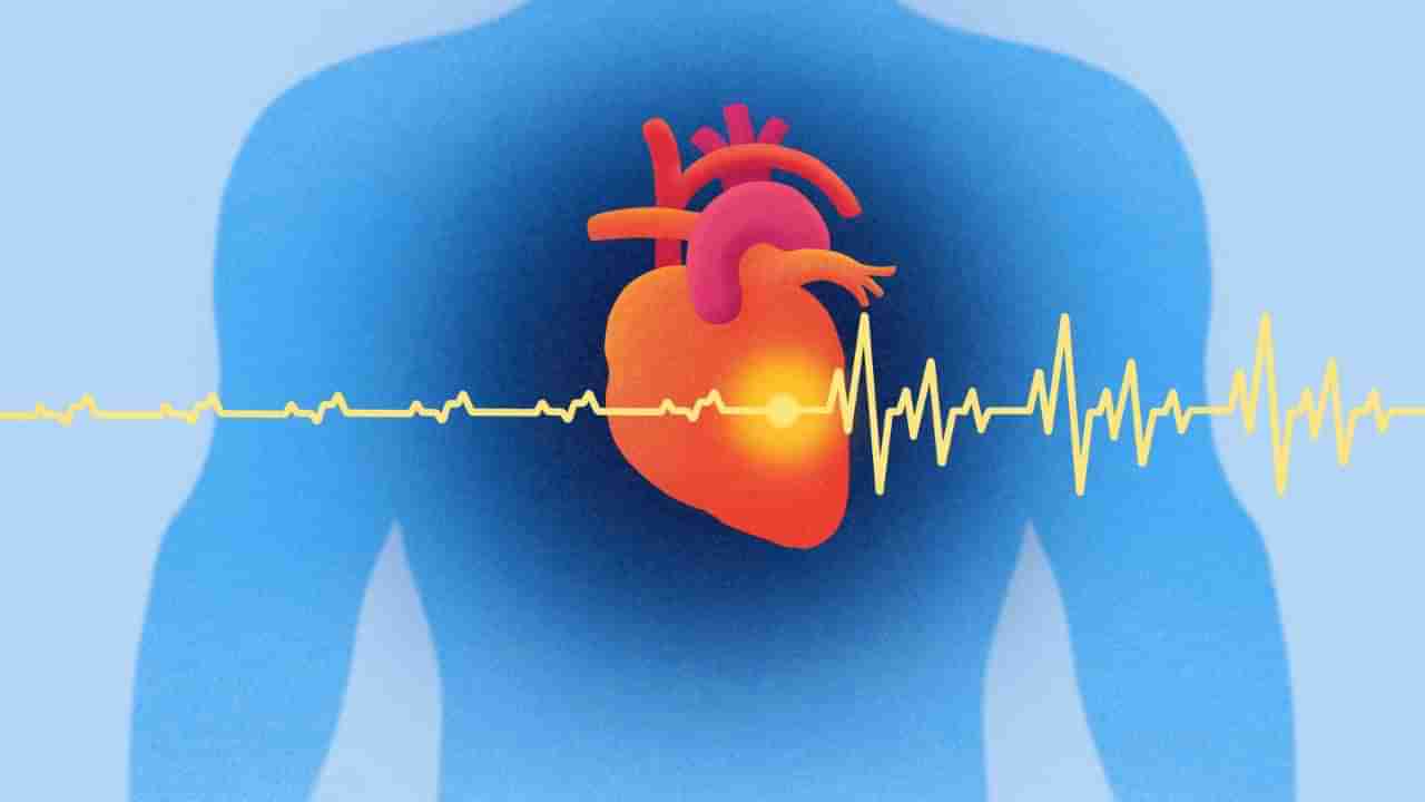 ಪ್ರತಿದಿನ ಸೇವಿಸುವ ಈ 5 ಆಹಾರಗಳು ಹೃದಯಾಘಾತಕ್ಕೆ ಕಾರಣವಾಗಬಹುದು