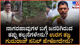 Naga Panchami 2025: ನಾಗದರ್ಶನ ಹಾಗೂ ನಾಗ ಮಂಡಲದ ನಡುವಿನ ವ್ಯತ್ಯಾಸವೇನು? ಏನಿದರ ವಿಶೇಷತೆ?