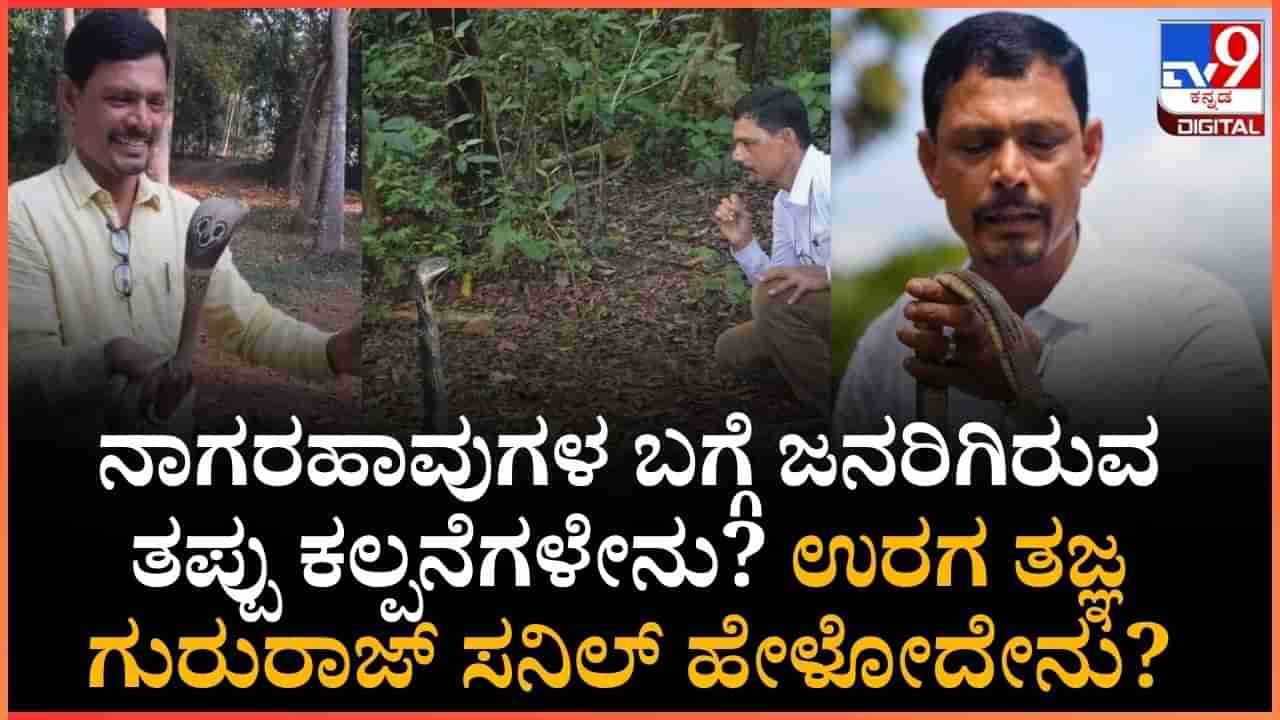 Naga Panchami 2025: ನಾಗರಹಾವುಗಳ ಬಗ್ಗೆ ಜನರಿಗಿರುವ ತಪ್ಪು ಕಲ್ಪನೆಗಳೇನು? ಈ ಬಗ್ಗೆ ಉರಗ ತಜ್ಞ ಗುರುರಾಜ್ ಸನಿಲ್ ಏನ್ ಹೇಳ್ತಾರೆ?