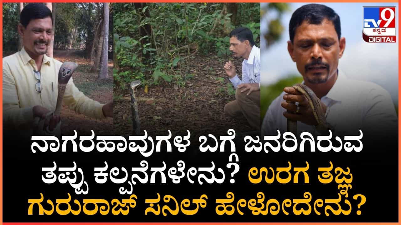 Naga Panchami 2025: ನಾಗರಹಾವುಗಳ ಬಗ್ಗೆ ಜನರಿಗಿರುವ ತಪ್ಪು ಕಲ್ಪನೆಗಳೇನು? ಈ ಬಗ್ಗೆ ಉರಗ ತಜ್ಞ ಗುರುರಾಜ್ ಸನಿಲ್ ಏನ್ ಹೇಳ್ತಾರೆ? Naga Panchami 2025: ನಾಗರಹಾವುಗಳ ಬಗ್ಗೆ ಜನರಿಗಿರುವ ತಪ್ಪು ಕಲ್ಪನೆಗಳೇನು? ಈ ಬಗ್ಗೆ ಉರಗ ತಜ್ಞ ಗುರುರಾಜ್ ಸನಿಲ್ ಏನ್ ಹೇಳ್ತಾರೆ?