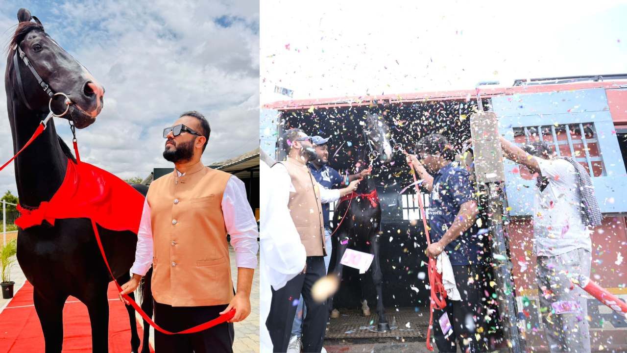 ರಾಜ-ಮಹಾರಾಜರು ಯುದ್ದದಲ್ಲಿ ಬಳಸುತ್ತಿದ್ದ ತಳಿಯ ಕುದುರೆಯೊಂದನ್ನು ಬರೋಬ್ಬರಿ 1 ಕೋಟಿ 11 ಲಕ್ಷ ರೂ ಕೊಟ್ಟು ಖರೀದಿ ಮಾಡಲಾಗಿದೆ. ಕುದುರೆಯ ಮೈಕಟ್ಟು, ಎತ್ತರ, ನೋಟ ವೈಯಾರಕ್ಕೆ ಜನರು ಮನಸೋತಿದ್ದಾರೆ. ದುಬಾರಿ ಕುದುರೆ ತಮ್ಮೂರಿಗೆ ಬರ್ತಿದ್ದಂತೆ ರೆಡ್ ಕಾರ್ಪೆಟ್ ಹಾಕಿ, ಕೆಕ್ ಕತ್ತರಿಸಿ, ಪಟಾಕಿ ಸಿಡಿಸಿ ಅದ್ದೂರಿ ಸ್ವಾಗತ ಮಾಡಿದ್ದಾರೆ.