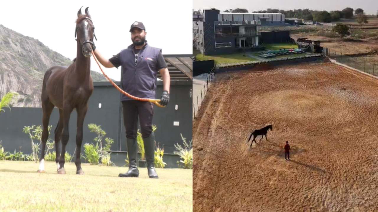 ಉದ್ಯಮಿ ಶಫೀಕ್ ತಮ್ಮದೇ ಸ್ವಂತ ಜಾಗದಲ್ಲಿ ಹಾರ್ಸ್ ರೈಡಿಂಗ್ಗಾಗಿ ಒಂದಷ್ಟು ಜಾಗ ಮೀಸಲಿರಿಸಿ, ಆ ಜಾಗದಲ್ಲಿ ಬೆಂಗಳೂರಿನ ತಮ್ಮ ಸ್ನೇಹಿತರು, ಪರಿಚಯಸ್ಥರು ಹಾಗೂ ಹಳ್ಳಿ ಗಾಡಿನ ಯುವಕರಿಗೆ ಹಾರ್ಸ್ ರೈಡಿಂಗ್ ಮಾಡುವ ಕಲೆಯನ್ನ ಕರಗತ ಮಾಡಿಸುತ್ತಿದ್ದಾರೆ.