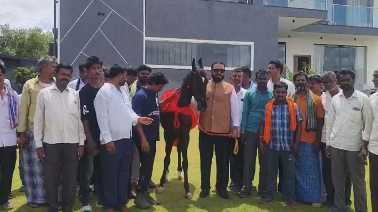 ದೇಶದಲ್ಲಿ ನಶಿಸಿ ಹೋಗುತ್ತಿರುವ ಅಪರೂಪದ ಕುದುರೆ ತಳಿಗಳನ್ನ ಉಳಿಸುವ ಸಲುವಾಗಿಯೇ ಈ ಕುದುರೆಯನ್ನು ದುಬಾರಿ ಹಣ ಕೊಟ್ಟು ಖರೀದಿ ಮಾಡಿದ್ದಾಗಿ ಕುದುರೆ ಮಾಲೀಕರು ಹೇಳಿದ್ದಾರೆ. ಕೋಟಿ ಬೆಲೆಯ ಕುದುರೆ ಎಂಬ ಮಾಹಿತಿ ತಿಳಿಯುತ್ತಿದ್ದಂತೆ ಜನ ನೋಡಲು ಮುಗಿಬಿದ್ದರು.