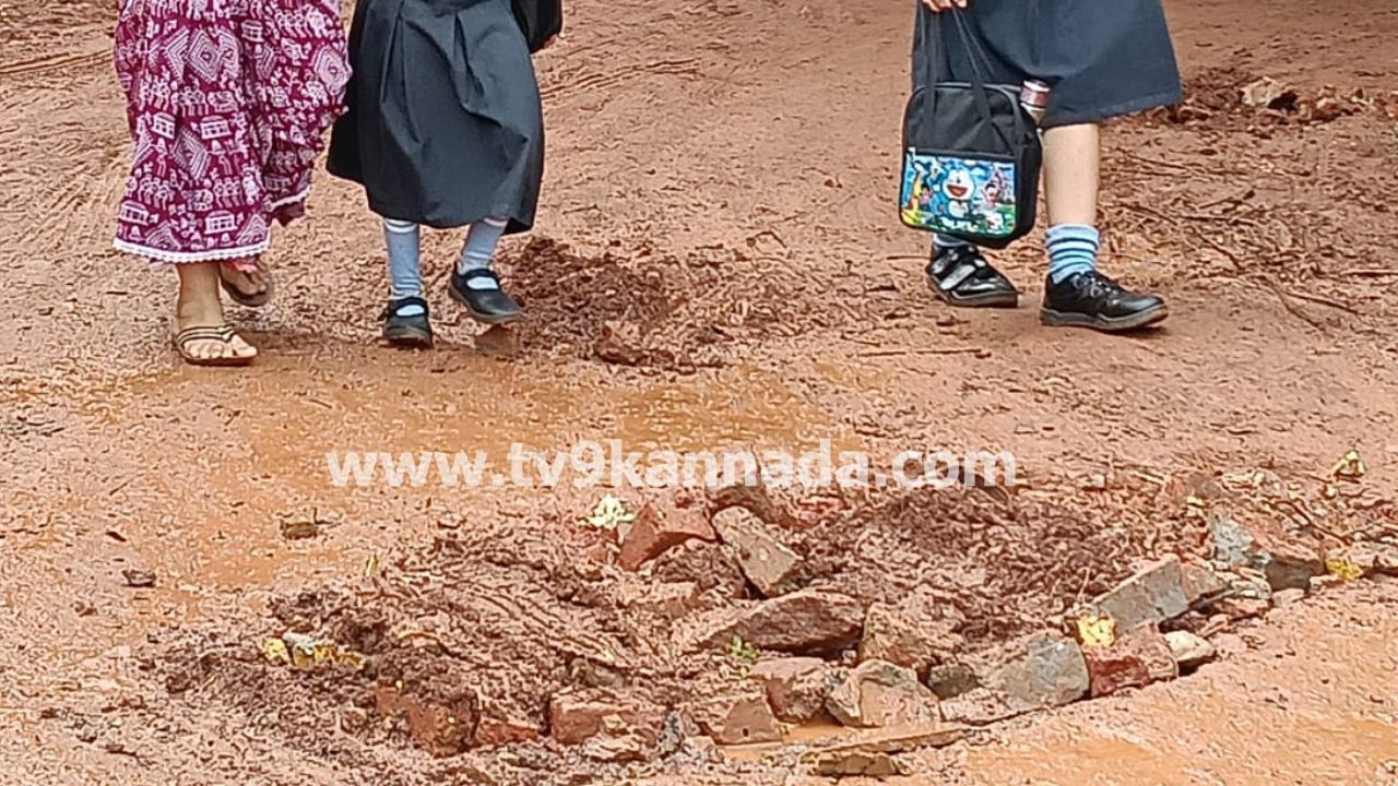 ಒಂದಡೆ ಪ್ರಮುಖ ರಸ್ತೆಗಳು ಗುಂಡಿಮಯವಾಗಿದ್ದರೆ, ಬಡಾವಣೆ ರಸ್ತೆಗಳು ಕೆಸರುಗದ್ದೆಯಂತಾಗಿವೆ. ಹುಬ್ಬಳ್ಳಿ ನಗರದ ಕುಮಾರಪಾರ್ಕ್, ಸನ್ ಸಿಟ್ ಗಾರ್ಡನ್,  ಮನೋಜ್ ಪಾರ್ಕ್ ಸೇರಿದಂತೆ  ಅನೇಕ ಬಡಾವಣೆಗಳ ರಸ್ತೆಗಳ ಕೆಸರು ಗದ್ದೆಯಾಗಿವೆ. ಸ್ವಲ್ಪ ಮಳೆಯಾದರೆ ಸಾಕು, ರಸ್ತೆಗಳು ನೀರು ಮತ್ತು ಕೆಸರುಮಯವಾಗುತ್ತವೆ. ಇಂತಹ ರಸ್ತೆಯಲ್ಲಿ ಓಡಾಡುವುದು ಹೇಗೆ ಎಂದು ಜನ ಪ್ರಶ್ನಿಸುತ್ತಿದ್ದಾರೆ.