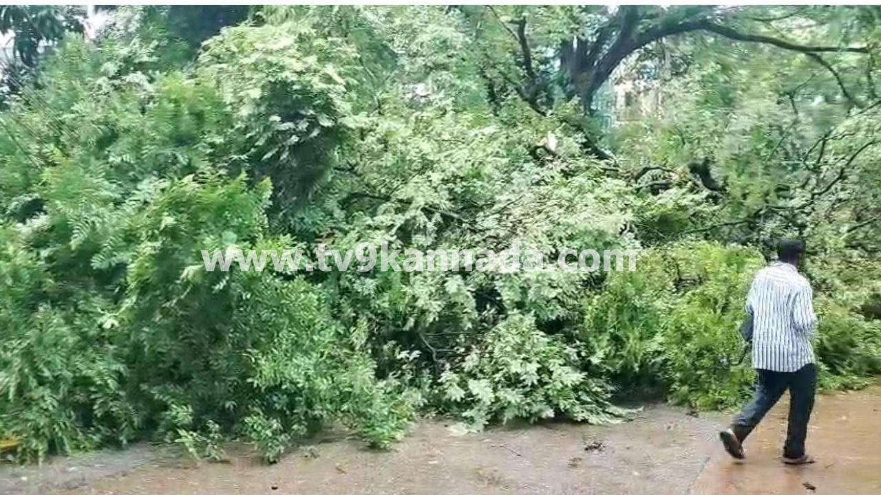 Karnataka Rains: ಕರ್ನಾಟಕದಾದ್ಯಂತ ಮಳೆ ಅಬ್ಬರಕ್ಕೆ ಒಂದೇ ದಿನ ಐವರು ಸಾವು, ಹಲವೆಡೆ ಭೂಕುಸಿತ Karnataka Rains: ಕರ್ನಾಟಕದಾದ್ಯಂತ ಮಳೆ ಅಬ್ಬರಕ್ಕೆ ಒಂದೇ ದಿನ ಐವರು ಸಾವು, ಹಲವೆಡೆ ಭೂಕುಸಿತ