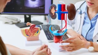 ಹೊಟ್ಟೆಯ ಕೊಬ್ಬು ಕರಗಿಸಲು ಪ್ರತಿದಿನ ಈ ಎಲೆಯನ್ನು ಖಾಲಿ ಹೊಟ್ಟೆಯಲ್ಲಿ ತಿನ್ನಿ