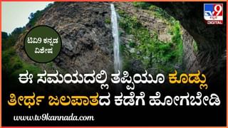 ಆಟೋ ರಿಕ್ಷಾ ಅನ್ಕೊಂಡ್ರಾ… ಅಲ್ಲ ಅಲ್ಲ  ಇದು ದುಬಾರಿ ಬೆಲೆಯ ಹ್ಯಾಂಡ್‌ಬ್ಯಾಗ್‌ ಕಣ್ರೀ