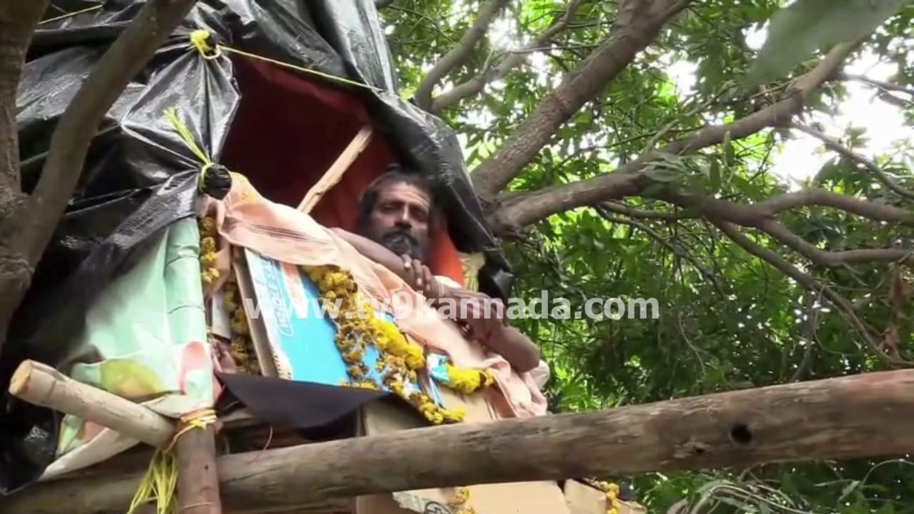 ಕೊಪ್ಪಳ: 5 ದಿನಗಳಿಂದ ಮರದ ಮೇಲೆ ಕುಳಿತು ಸ್ವಾಮೀಜಿ ವ್ರತ! 101 ದಿನ ಮರದಲ್ಲೇ ಇರಲಿರುವ ಸಚ್ಚಿದಾನಂದ ಶ್ರೀ