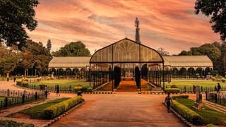 ಚಿನ್ನಸ್ವಾಮಿ ಸ್ಟೇಡಿಯಂ ಕಾಲ್ತುಳಿತ: ಮೈಕೆಲ್ ಕುನ್ಹಾ ವರದಿ ರದ್ದು ಕೋರಿ ಹೈಕೋರ್ಟ್​ಗೆ ಡಿಎನ್​ಎ ರಿಟ್ ಅರ್ಜಿ