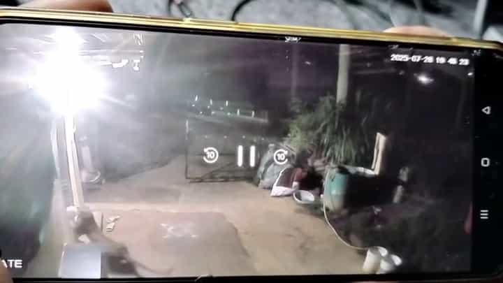 ಮೈಸೂರು: ಮನೆ ಅಂಗಳಕ್ಕೇ ಬಂದು ನಾಯಿಯ ಹೊತ್ತೊಯ್ದ ಚಿರತೆ, ಸಿಸಿಟಿವಿಲಿ ಸೆರೆಯಾಯ್ತು ದೃಶ್ಯ ಮೈಸೂರು: ಮನೆ ಅಂಗಳಕ್ಕೇ ಬಂದು ನಾಯಿಯ ಹೊತ್ತೊಯ್ದ ಚಿರತೆ, ಸಿಸಿಟಿವಿಲಿ ಸೆರೆಯಾಯ್ತು ದೃಶ್ಯ