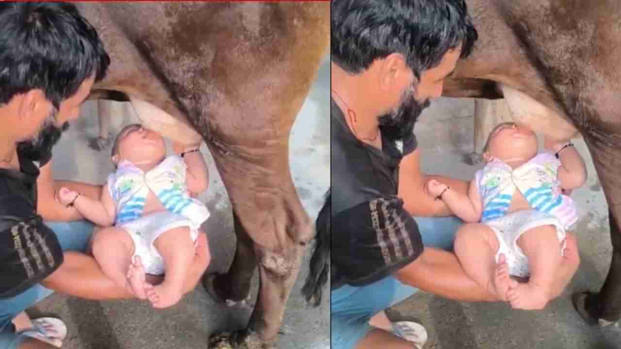 ಹಸುವಿನ ಕೆಚ್ಚಲಿನಿಂದ ನೇರವಾಗಿ ಮಗುವಿಗೆ ಹಾಲು ಕುಡಿಸುವುದು ಸರಿಯೇ? ವೈದ್ಯರು ಹೇಳೋದೇನು?