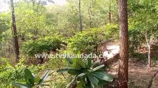 Karnataka Rains: ದಕ್ಷಿಣ ಕನ್ನಡಕ್ಕೆ ರೆಡ್ ಅಲರ್ಟ್​, ಕರ್ನಾಟಕದ ಈ ಜಿಲ್ಲೆಗಳಲ್ಲಿ ಜು. 31ರವರೆಗೂ ಭಾರಿ ಮಳೆ