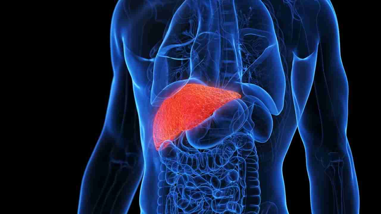 ಲಿವರ್ ಫೇಲ್ ಆಗುವ ಮೊದಲು ಈ ಲಕ್ಷಣಗಳು ಕಾಣಿಸಿಕೊಳ್ಳುತ್ತವೆ