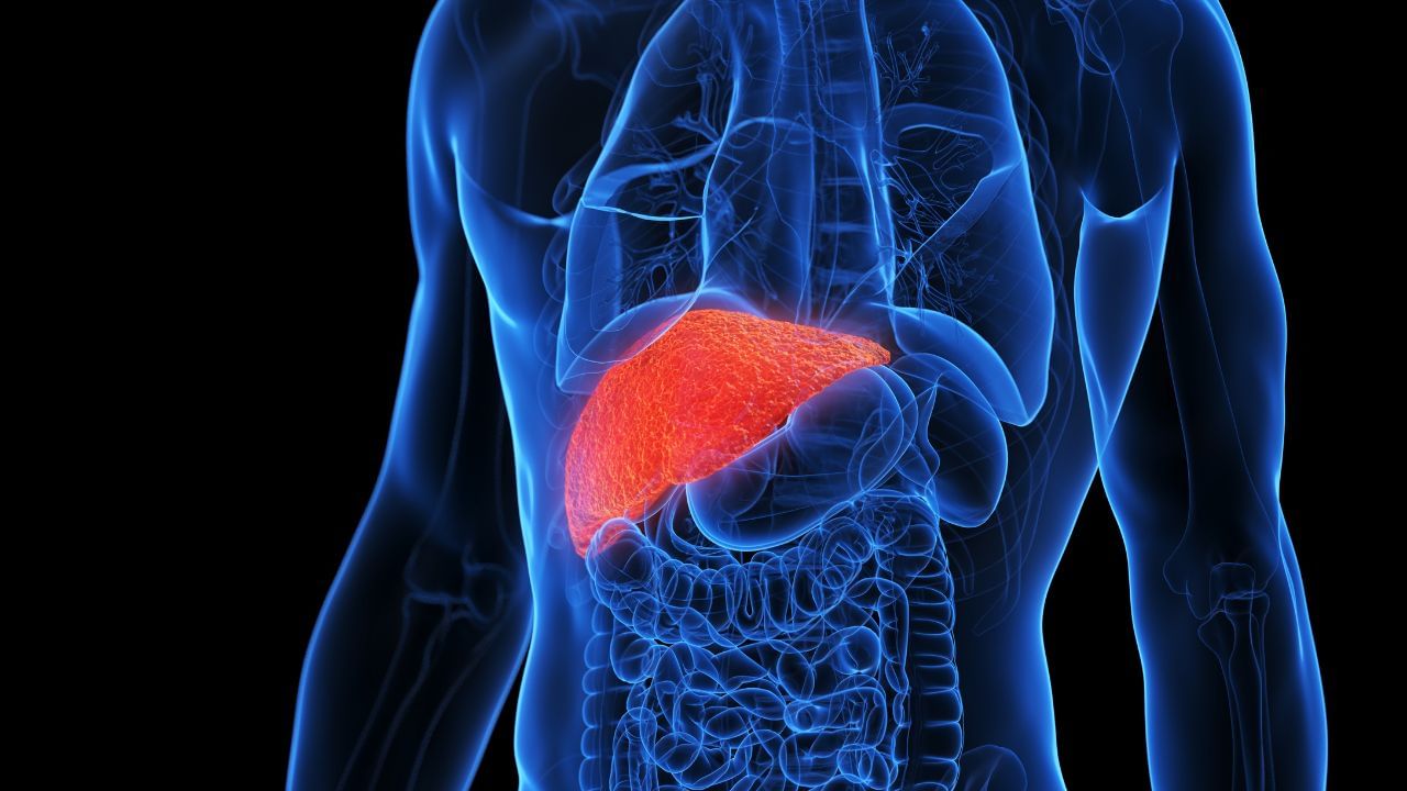 ಲಿವರ್ ಫೇಲ್ ಆಗುವ ಮೊದಲು ಈ ಲಕ್ಷಣಗಳು ಕಾಣಿಸಿಕೊಳ್ಳುತ್ತವೆ