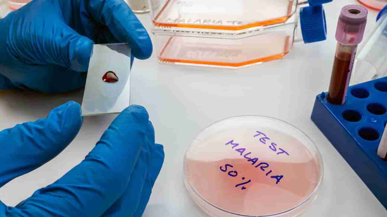 ಮಲೇರಿಯಾ ಸೋಂಕನ್ನು ತಡೆಯಲು ಬಂತು ಮೊದಲ ಲಸಿಕೆ! ಮಹಾಮಾರಿ ರೋಗದ ವಿರುದ್ಧ ಮಹತ್ವದ ಹೆಜ್ಜೆ
