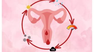 Lizards in Puja Room: ದೇವರ ಕೋಣೆಯಲ್ಲಿ ಹಲ್ಲಿ ಕಂಡರೆ ಏನರ್ಥ? ಶುಭವೊ, ಅಶುಭವೋ?