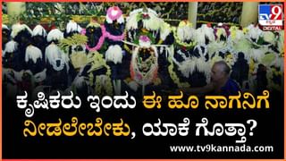 Nag Panchami 2025: ನಾಗನಿಗೆ ಹಿಂಗಾರ ಏಕೆ ಪ್ರಿಯ; ಈ ಬಗ್ಗೆ ಕಶೆಕೋಡಿ ಸೂರ್ಯನಾರಾಯಣ ಭಟ್‌ ಏನು ಹೇಳಿದ್ದಾರೆ ನೋಡಿ