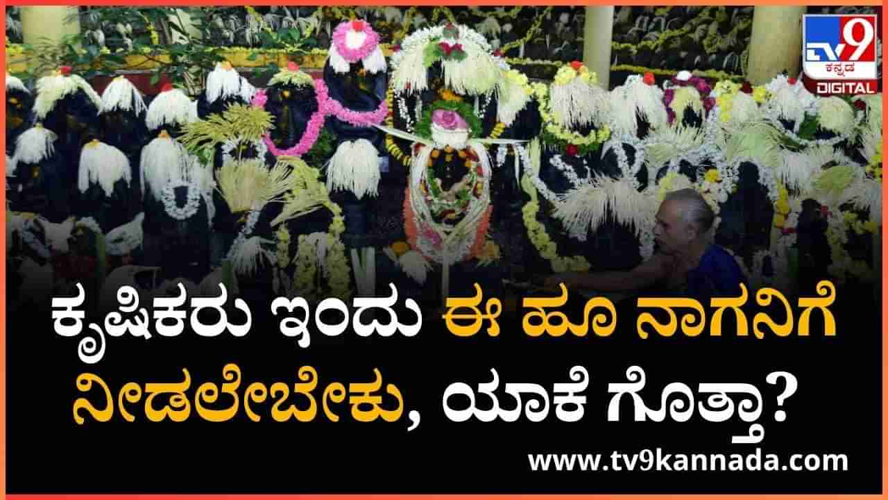 Nag Panchami 2025: ನಾಗನಿಗೆ ಹಿಂಗಾರ ಏಕೆ ಪ್ರಿಯ; ಈ ಬಗ್ಗೆ ಕಶೆಕೋಡಿ ಸೂರ್ಯನಾರಾಯಣ ಭಟ್‌ ಏನು ಹೇಳಿದ್ದಾರೆ ನೋಡಿ