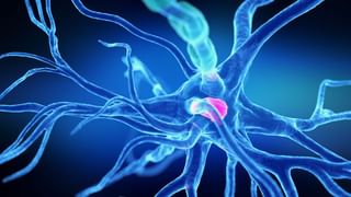 ಈ ಆರೋಗ್ಯ ಸಮಸ್ಯೆ ಇರುವವರು ಸೋರೆಕಾಯಿಯಿಂದ ದೂರವಿದ್ದಷ್ಟೂ ಒಳ್ಳೆಯದು? ಯಾಕೆ ಗೊತ್ತಾ?