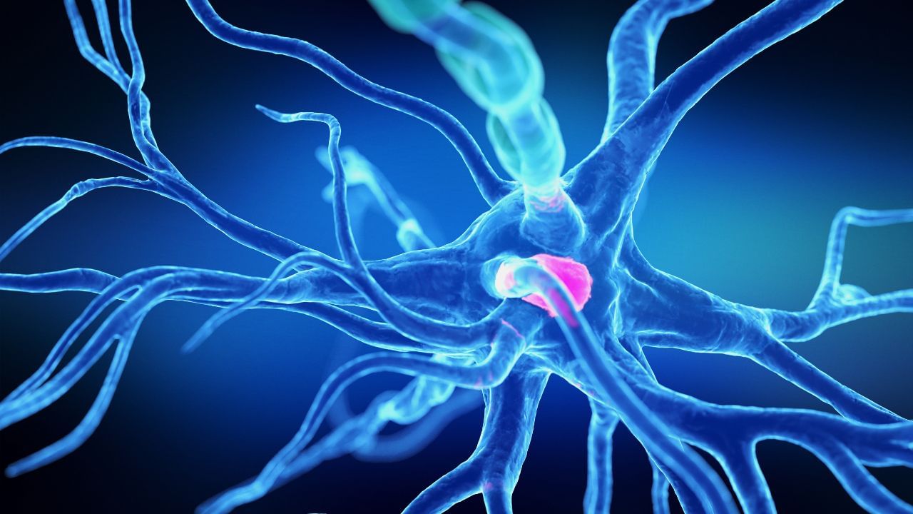 ನರಗಳಿಗೆ ಹಾನಿ ಮಾಡುವ ಈ ಆಹಾರವನ್ನು ಅಪ್ಪಿತಪ್ಪಿಯೂ ಸೇವಿಸಬೇಡಿ