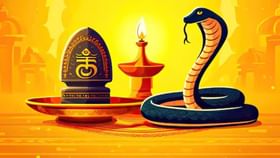 ನಾಗರ ಪಂಚಮಿಯಂದು ಕಬ್ಬಿಣದ ವಸ್ತುಗಳನ್ನು ಏಕೆ ಬಳಸಬಾರದು?