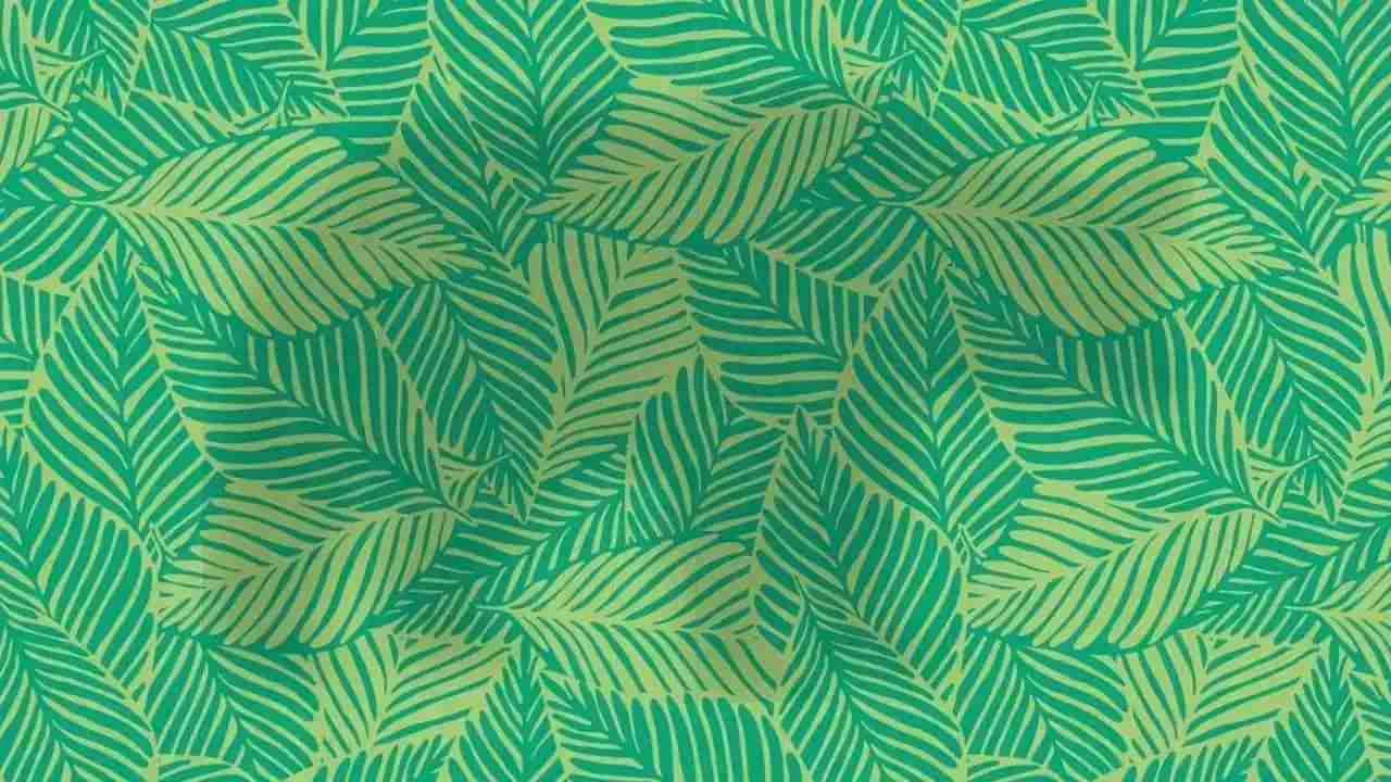 Optical Illusion: ಈ ಚಿತ್ರದಲ್ಲಿ ಮರೆಯಾಗಿರುವ ಪ್ರಾಣಿ ಯಾವುದೆಂದು ನೀವು ಹೇಳಬಲ್ಲಿರಾ?