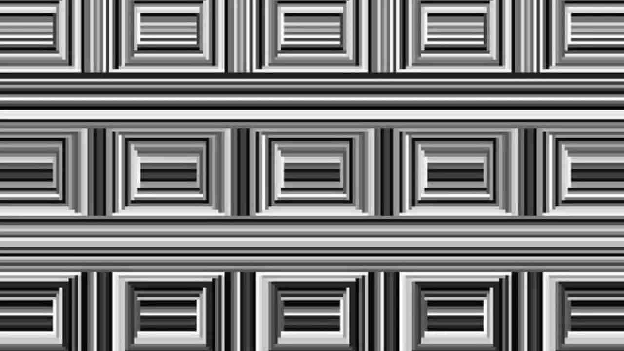 Optical Illusion: ಈ ಚಿತ್ರದಲ್ಲಿ ಅಡಗಿರುವ 16 ವೃತ್ತಗಳನ್ನು ನೀವು ಪತ್ತೆ ಹಚ್ಚಬಲ್ಲಿರಾ?