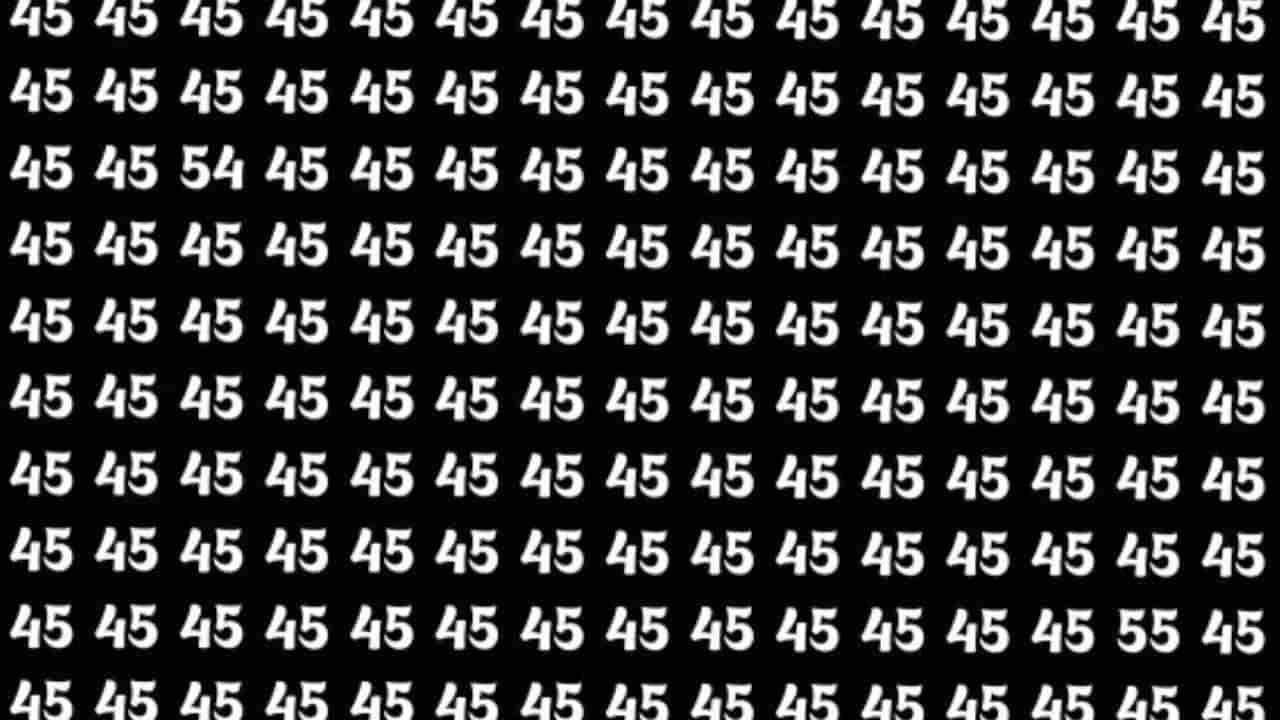 Optical Illusion: ಈ ಚಿತ್ರದಲ್ಲಿ 45 ಸಂಖ್ಯೆಗಳ ನಡುವೆ ಅಡಗಿರುವ 54, 55 ಸಂಖ್ಯೆಯನ್ನು 5 ಸೆಕೆಂಡುಗಳಲ್ಲಿ ಹುಡುಕಿ