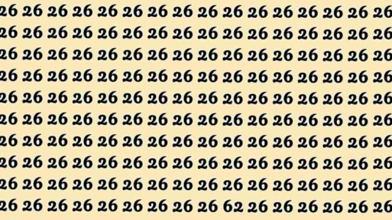 Optical Illusion: ಈ ಚಿತ್ರದಲ್ಲಿ 26ರ ನಡುವೆ ಅಡಗಿರುವ 62 ಸಂಖ್ಯೆಯನ್ನು ಕಂಡುಹಿಡಿಯಬಲ್ಲಿರಾ?