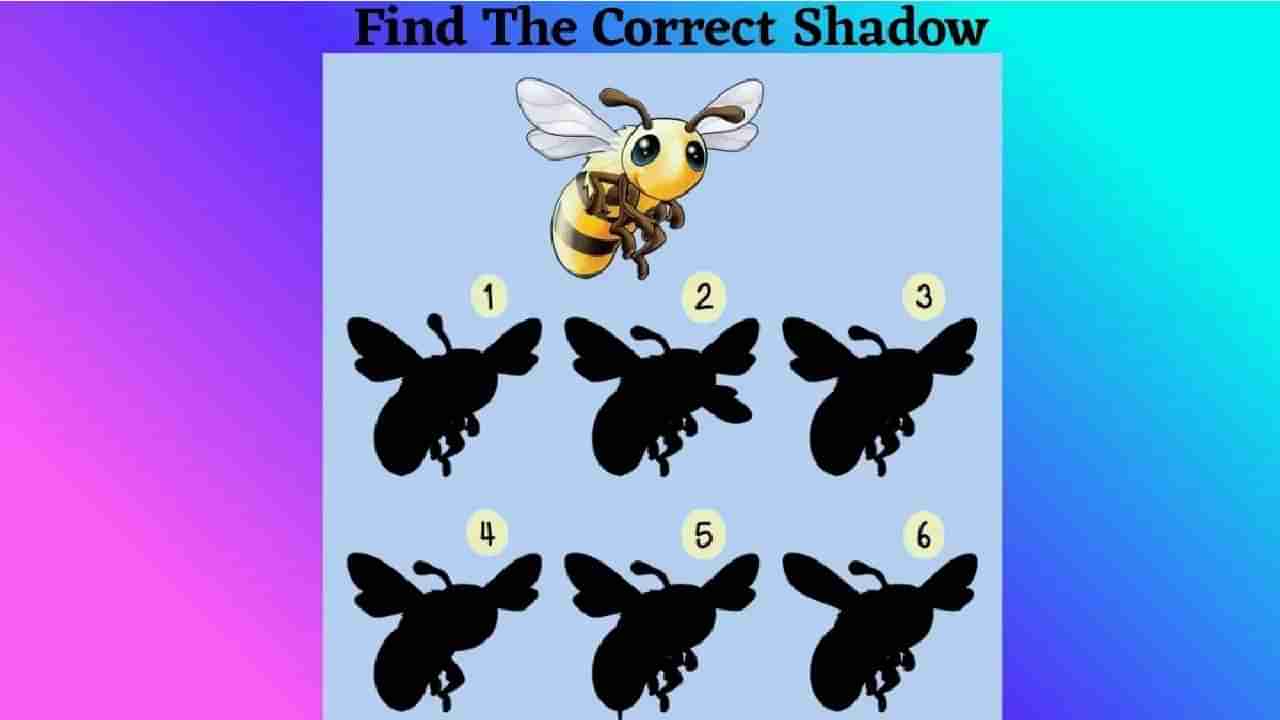 Optical Illusion: ಈ ಜೇನು ನೊಣದ ಸರಿಯಾದ ನೆರಳು ಯಾವುದೆಂದು ಹೇಳಬಲ್ಲಿರಾ?