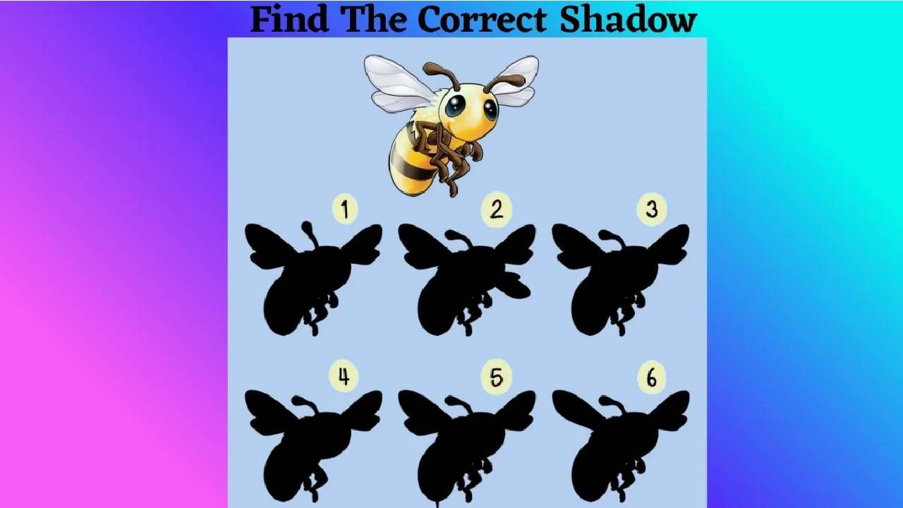Optical Illusion: ಈ ಜೇನು ನೊಣದ ಸರಿಯಾದ ನೆರಳು ಯಾವುದೆಂದು ಹೇಳಬಲ್ಲಿರಾ? Optical Illusion: ಈ ಜೇನು ನೊಣದ ಸರಿಯಾದ ನೆರಳು ಯಾವುದೆಂದು ಹೇಳಬಲ್ಲಿರಾ?