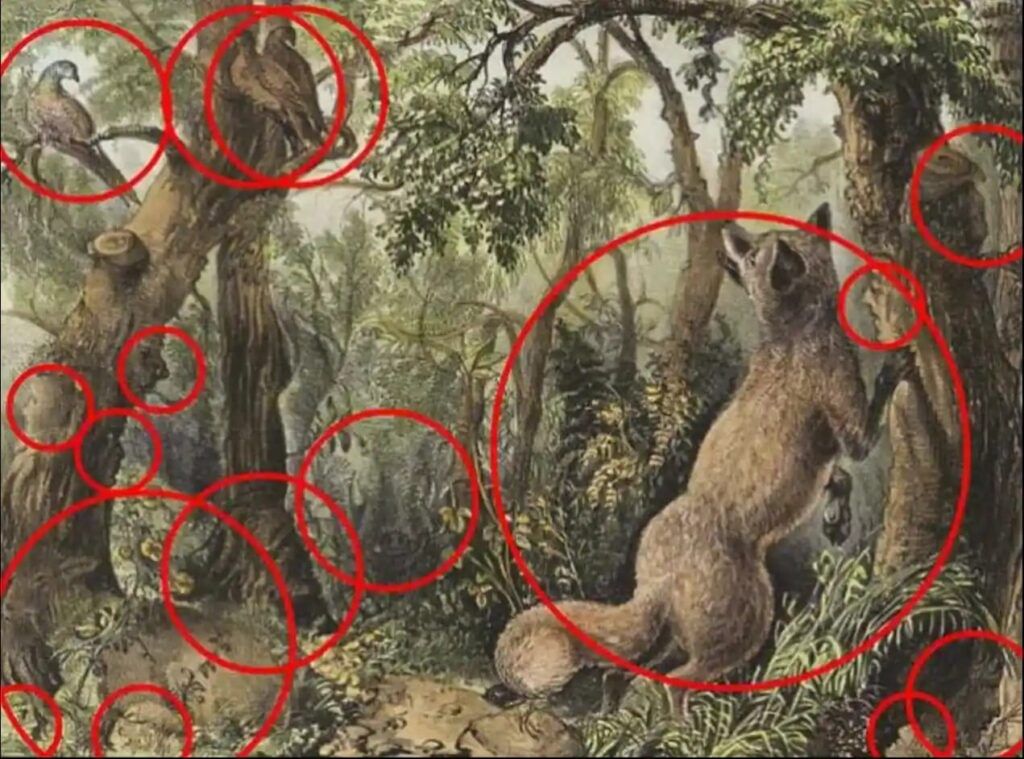 Optical Illusion Answer