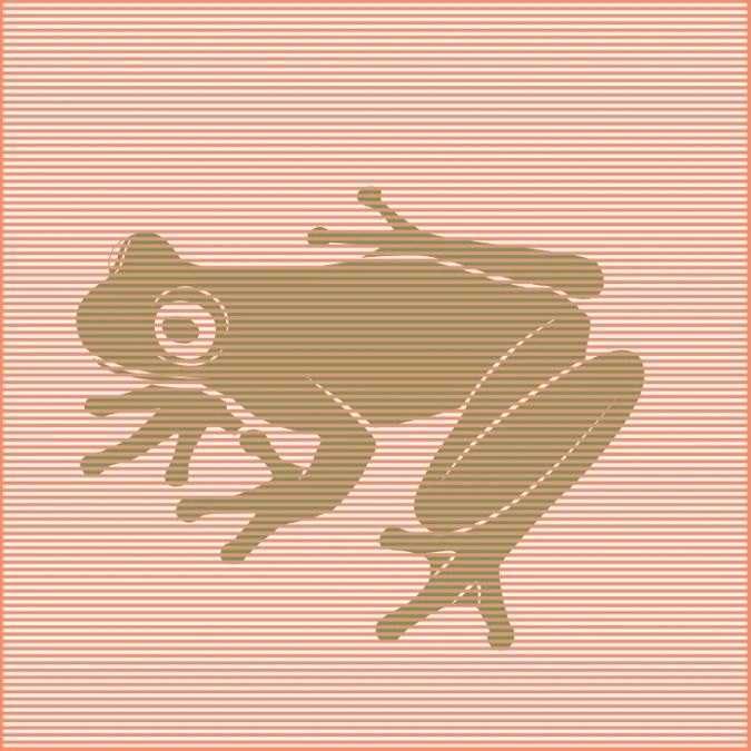 Optical Illusion Answer