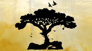 ಈ 5 ಅಭ್ಯಾಸವನ್ನು ಬೆಳಿಗ್ಗೆ ಮಾಡಿದ್ರೆ, ಹೊಳೆಯುವ ಚರ್ಮ ಖಂಡಿತ