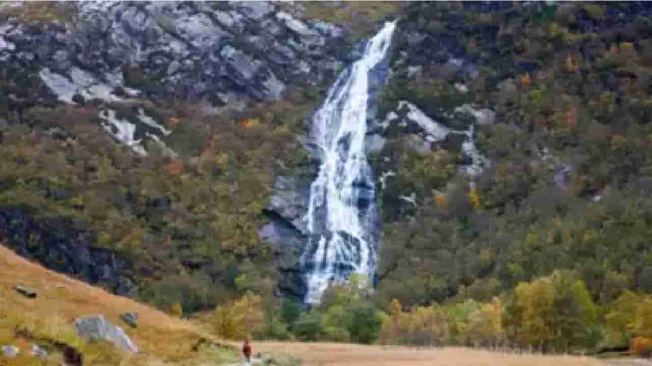 Personality Test: ಈ ಆಪ್ಟಿಕಲ್ ಇಲ್ಯೂಷನ್ ಚಿತ್ರ ನೋಡಿ ನಿಮ್ಮ ವ್ಯಕ್ತಿತ್ವ ಹೇಗಿದೆಯೆಂದು ಪರೀಕ್ಷಿಸಿ