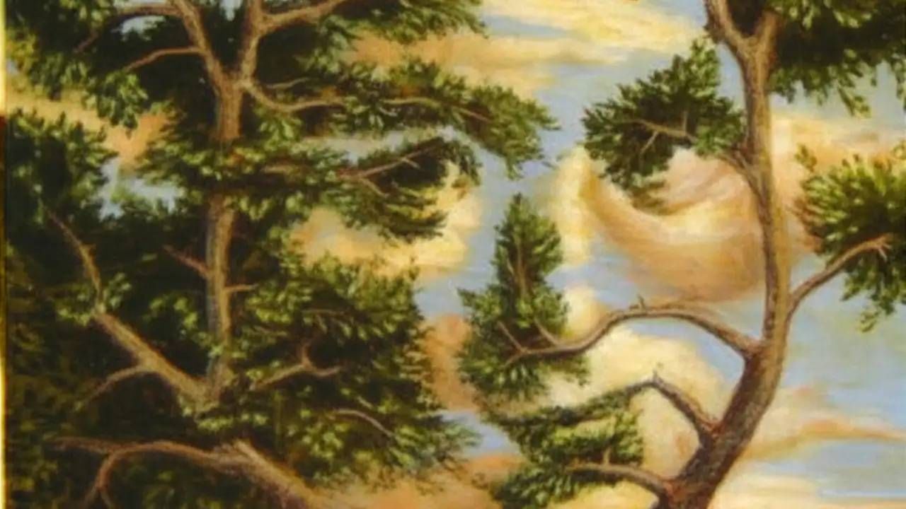 Personality Test: ನೀವು ಭಾವನಾತ್ಮಕ ವ್ಯಕ್ತಿಯೇ? ಈ ಚಿತ್ರದ ಮೂಲಕ ತಿಳಿಯಿರಿ ನಿಮ್ಮ ಗುಣ ಸ್ವಭಾವ